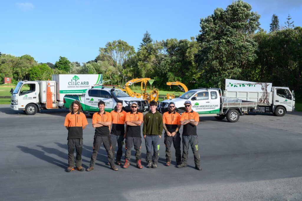 A high angled landscape image of Elite Arboriculture professionals standing in front of their trucks and tools.