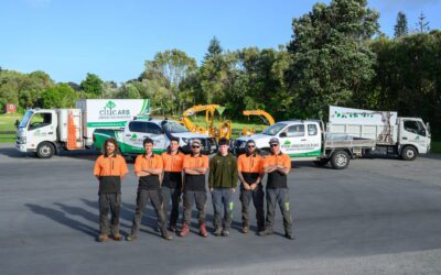 Elite Arboriculture: Professional Tree Care Services in Kapiti