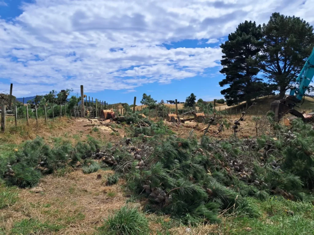 arborist-community-volunteering-kapiti