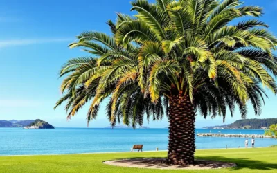 Phoenix Palm Tree Removal: Why Professional Services Are Essential for Safety and Property Protection