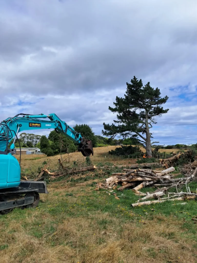 tree-felling-for-charity
