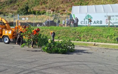 Branching Out: Our Youth Day Experience with Te Puna Oranga O Ōtaki