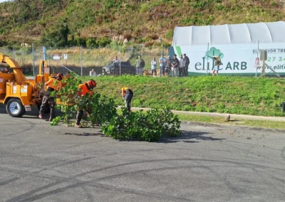 youth-day-experience-elite-arboriculture