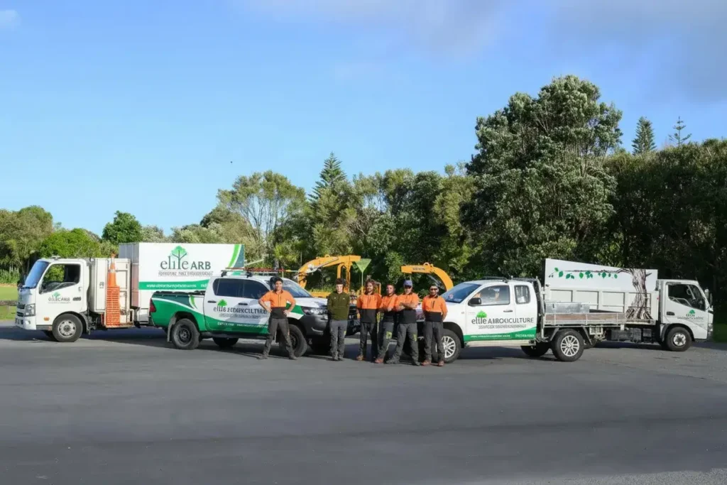 elite arboriculture local arborists near me