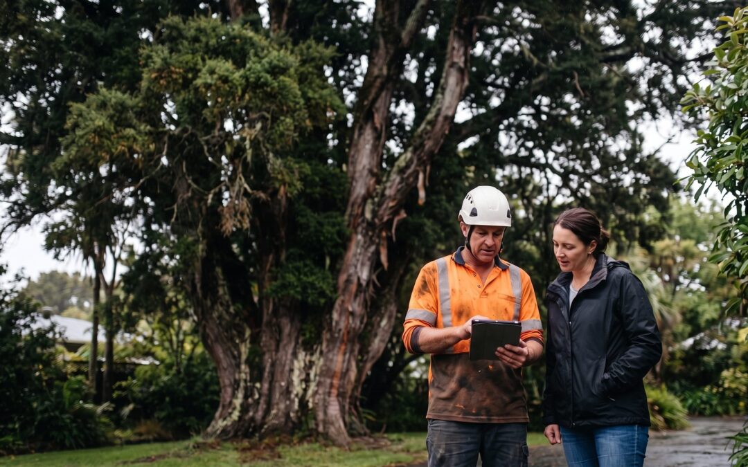 tree-removal-consent-kapiti-horowhenua-featured